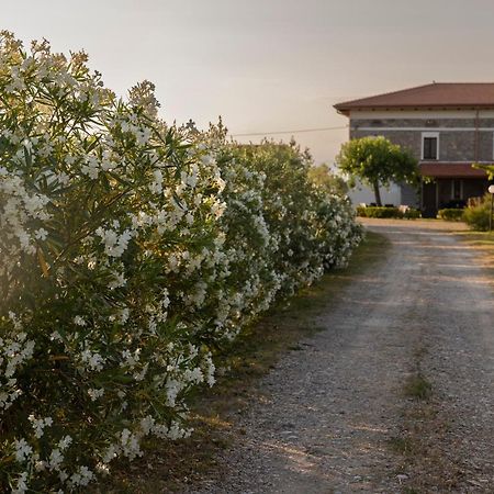 Agri Charme Tenuta Picilli Albanella Kültér fotó