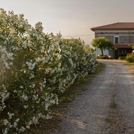 Agri Charme Tenuta Picilli Villa Albanella Kültér fotó