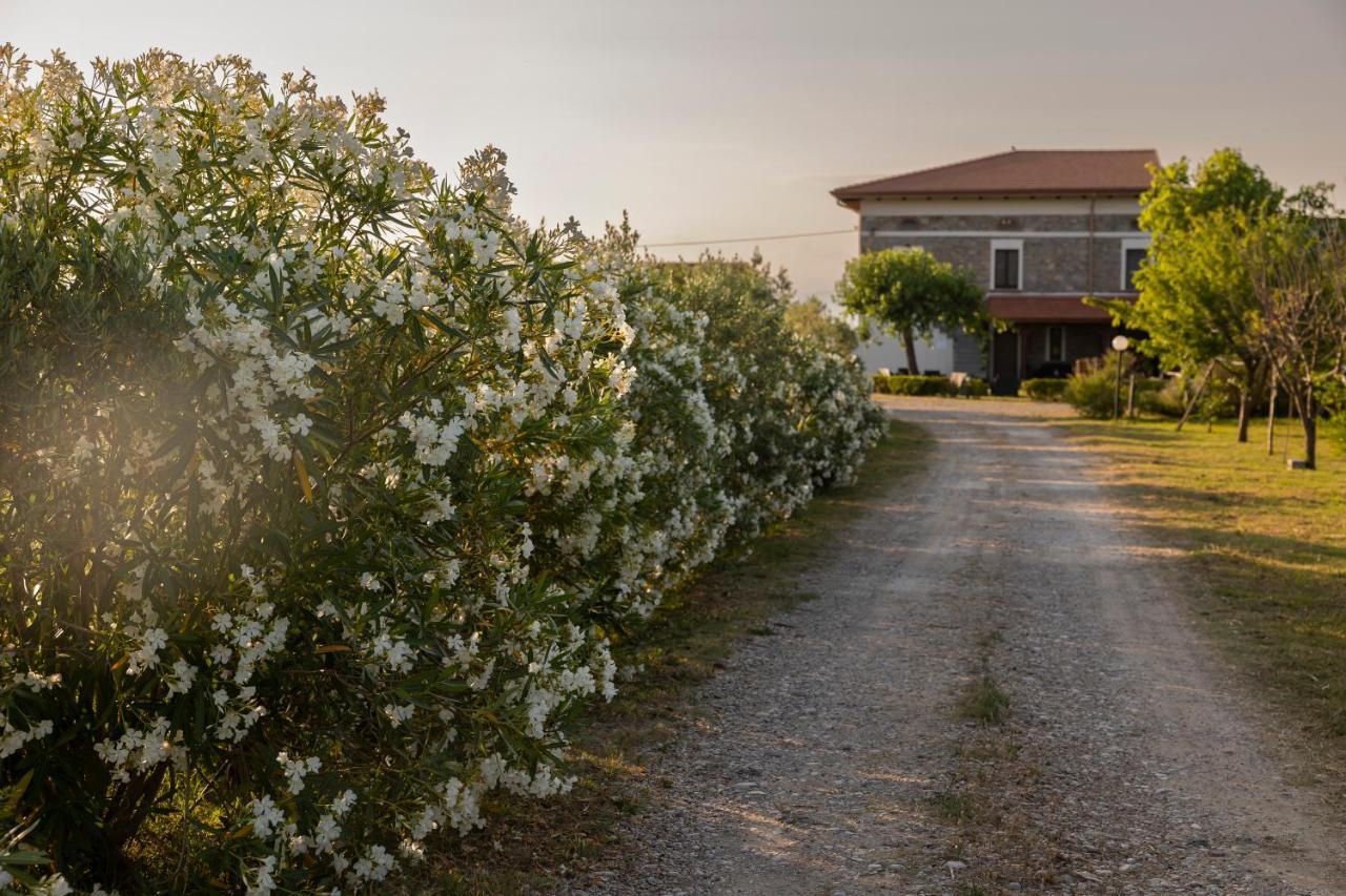 Agri Charme Tenuta Picilli Albanella Kültér fotó